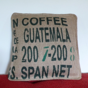 guatemala cushion